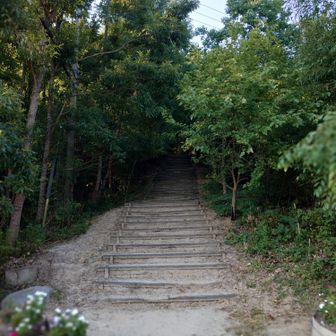 虹の階段から登る時はここから⭐
駐車場もあります無料🈚️
鏡山温泉♨️が近くにあります💡
温泉でご飯も食べれます
