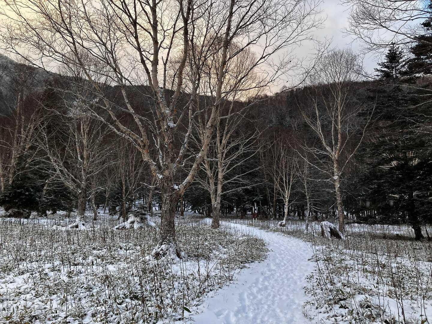 周り見渡すと雲多めですが期待を込めて進みます。