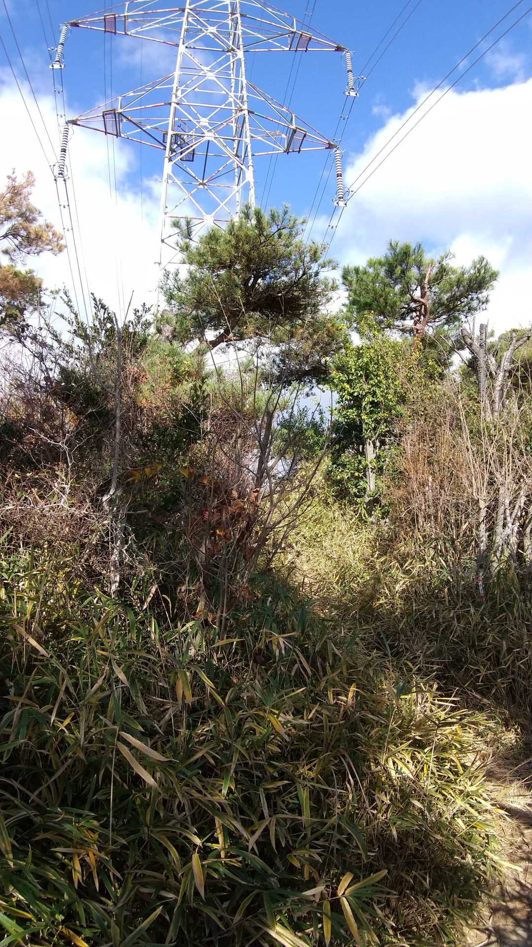 そうそう
前の赤子谷（左俣）は、ここから縦走路に出てきたんです