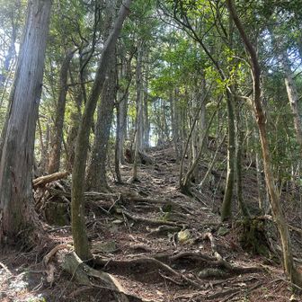 こちらの登れは五大尊岳⛰️