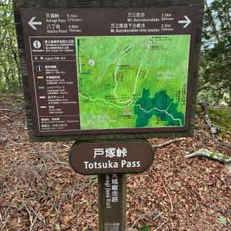 ここまで来て戻る