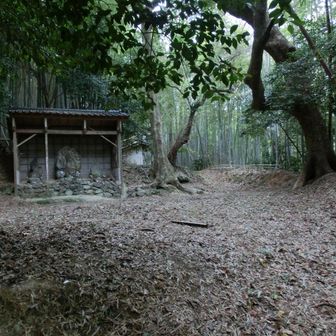 それを抜けると広場に躍り出る 🙌