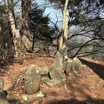 神社⛩️跡と読めます