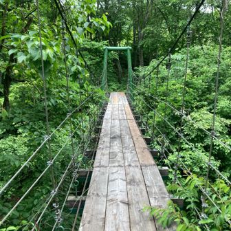 駒の湯登山口すぐの吊り橋
揺れる