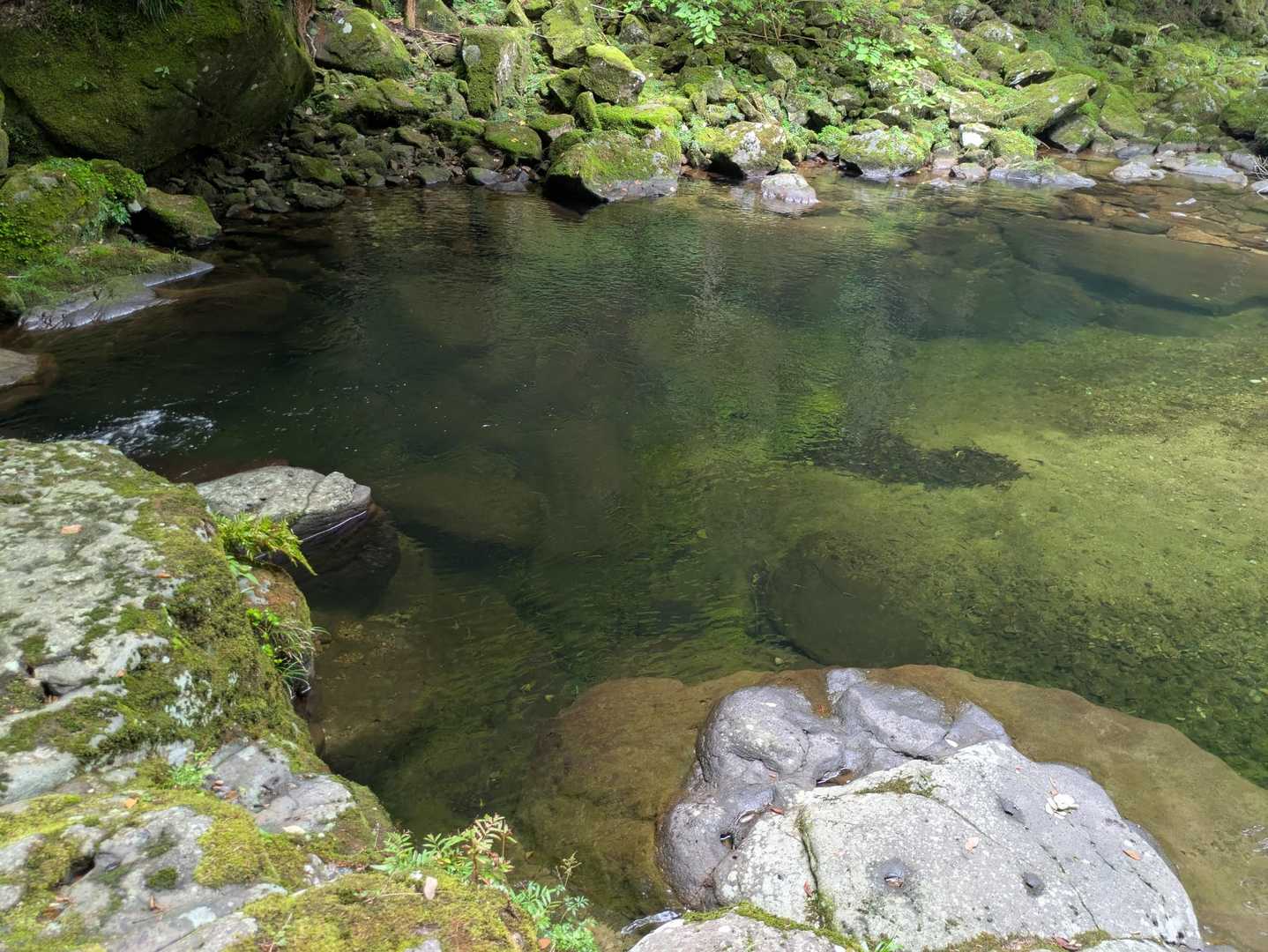 【赤目四十八滝】数々の滝・岩・淵が連続する変化に富んだ山歩道の写真