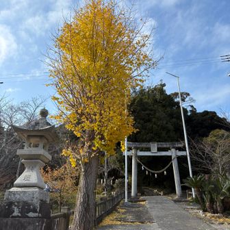 下山して、ロードでわんこ前足を仕上げに行きます