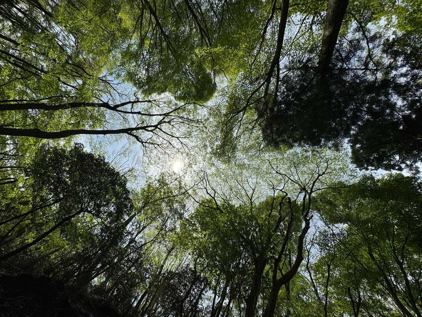 裏山-笙ヶ岳 周回コースの写真