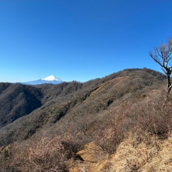 木ノ又小屋の絶景ポイント！次のランドマーク、いよいよやってくる塔ノ岳と富士山。