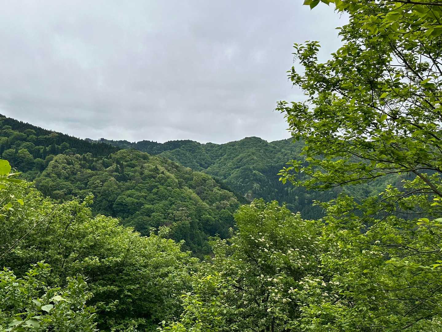 三久安山登山口-三久安山 往復コースの写真