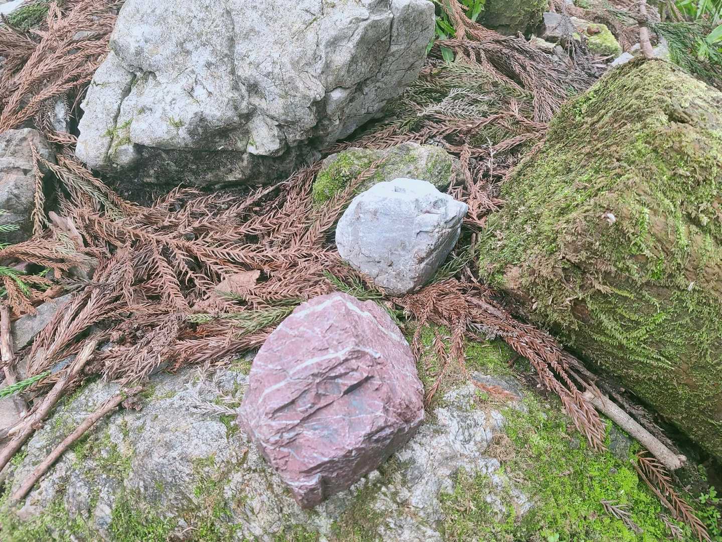 白い石灰岩と薄い赤のチャート。
妻坂峠までの登山道にはどっちもゴロゴロあります。