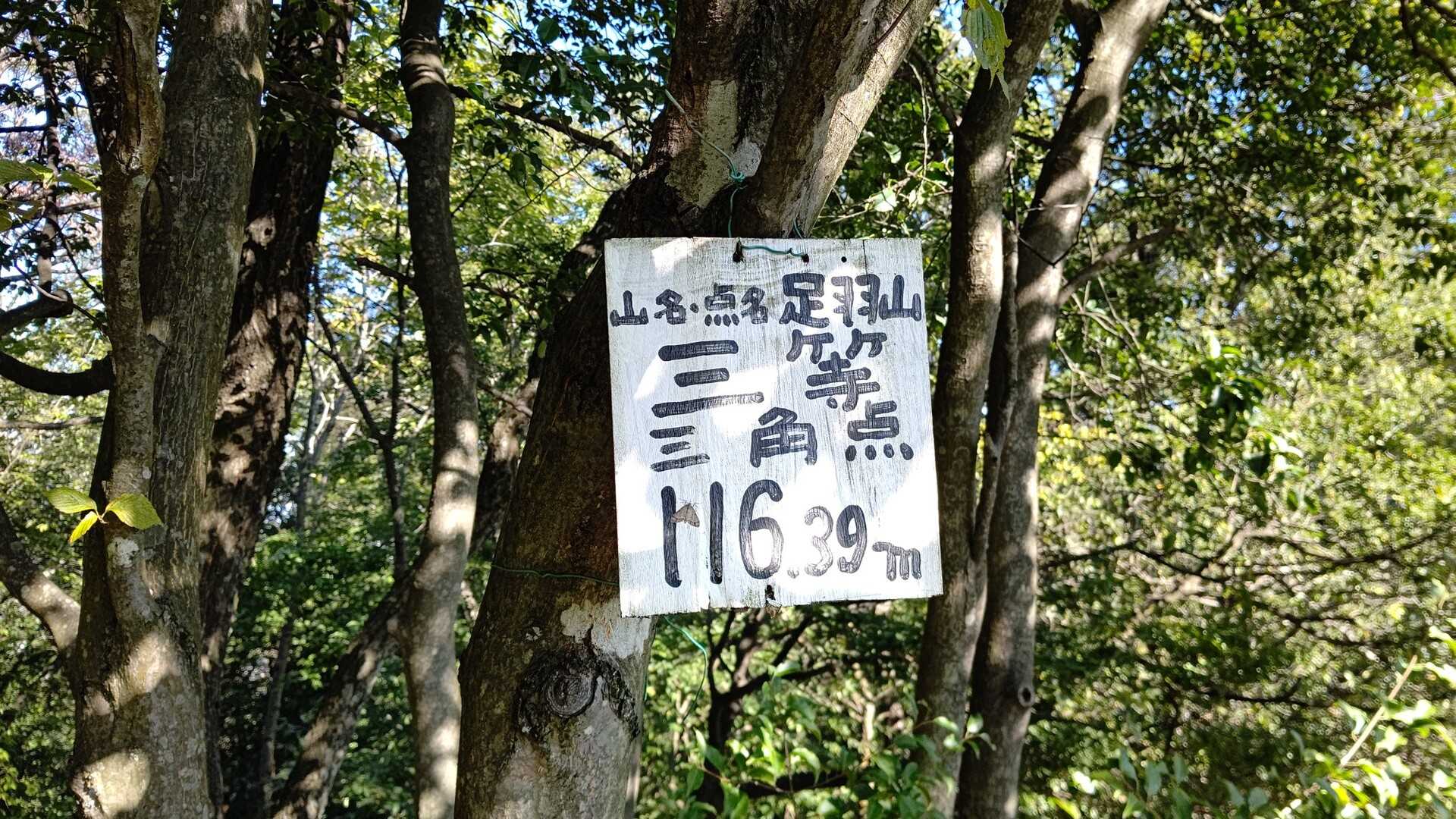 足羽山の写真