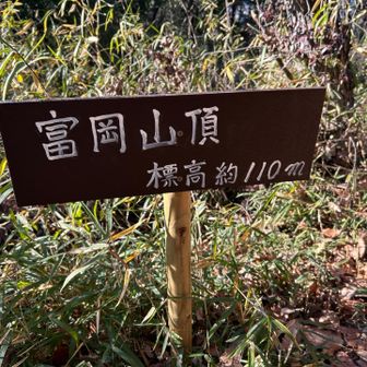 富岡山の山頂は特に展望はありません。