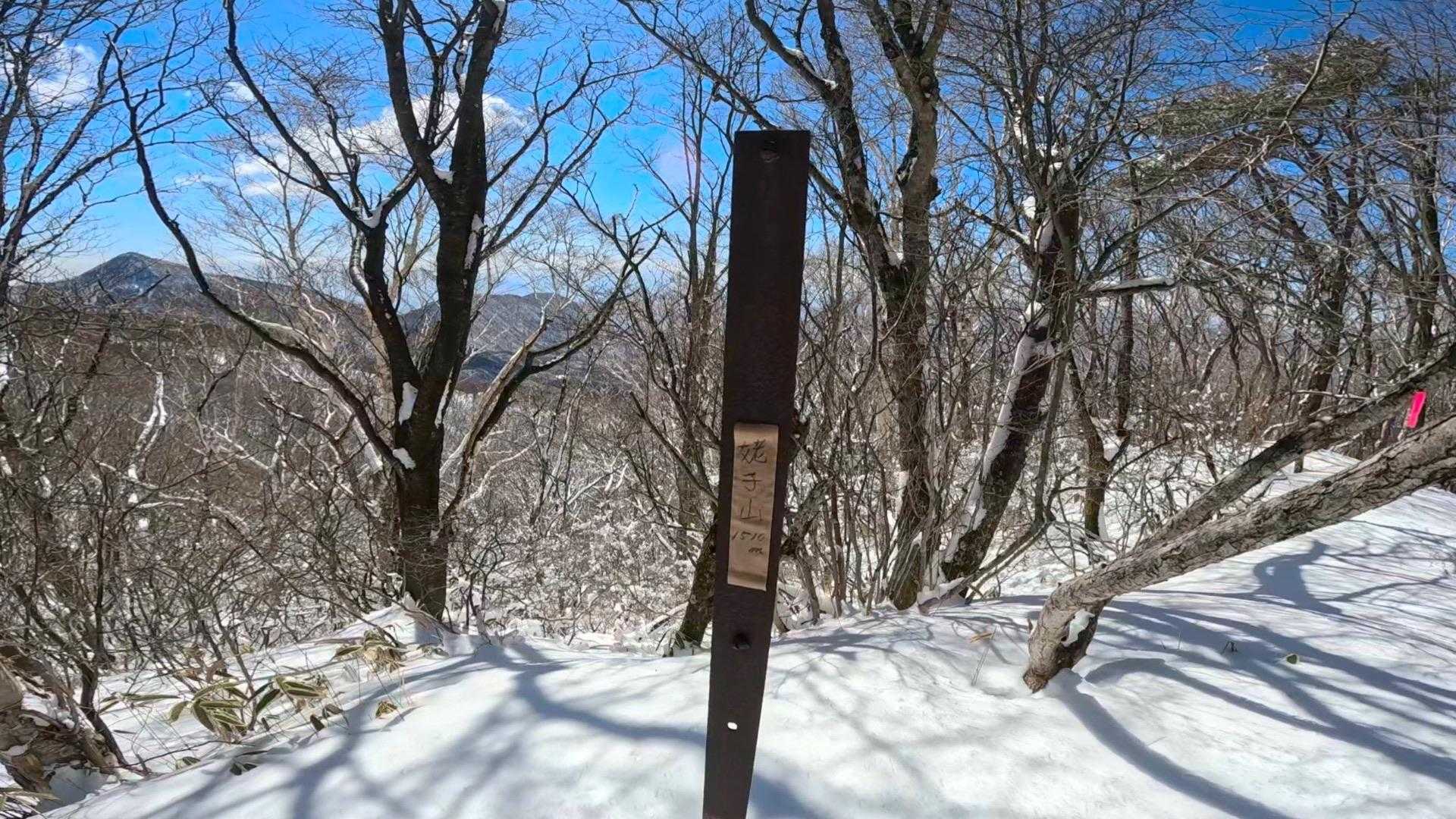 姥子山山頂　1,487m
