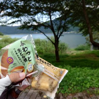 コンビニで昼食確保しようとするとどうもスイーツになってします。