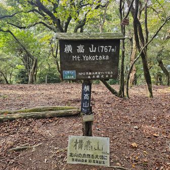辿り着いたら 横高山