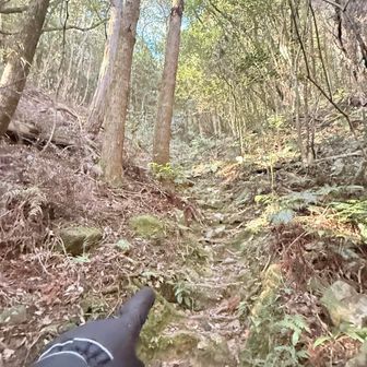 歩きやすい❤️