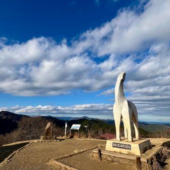 ポカポカして快適だった。
ほとんど貸切☺️