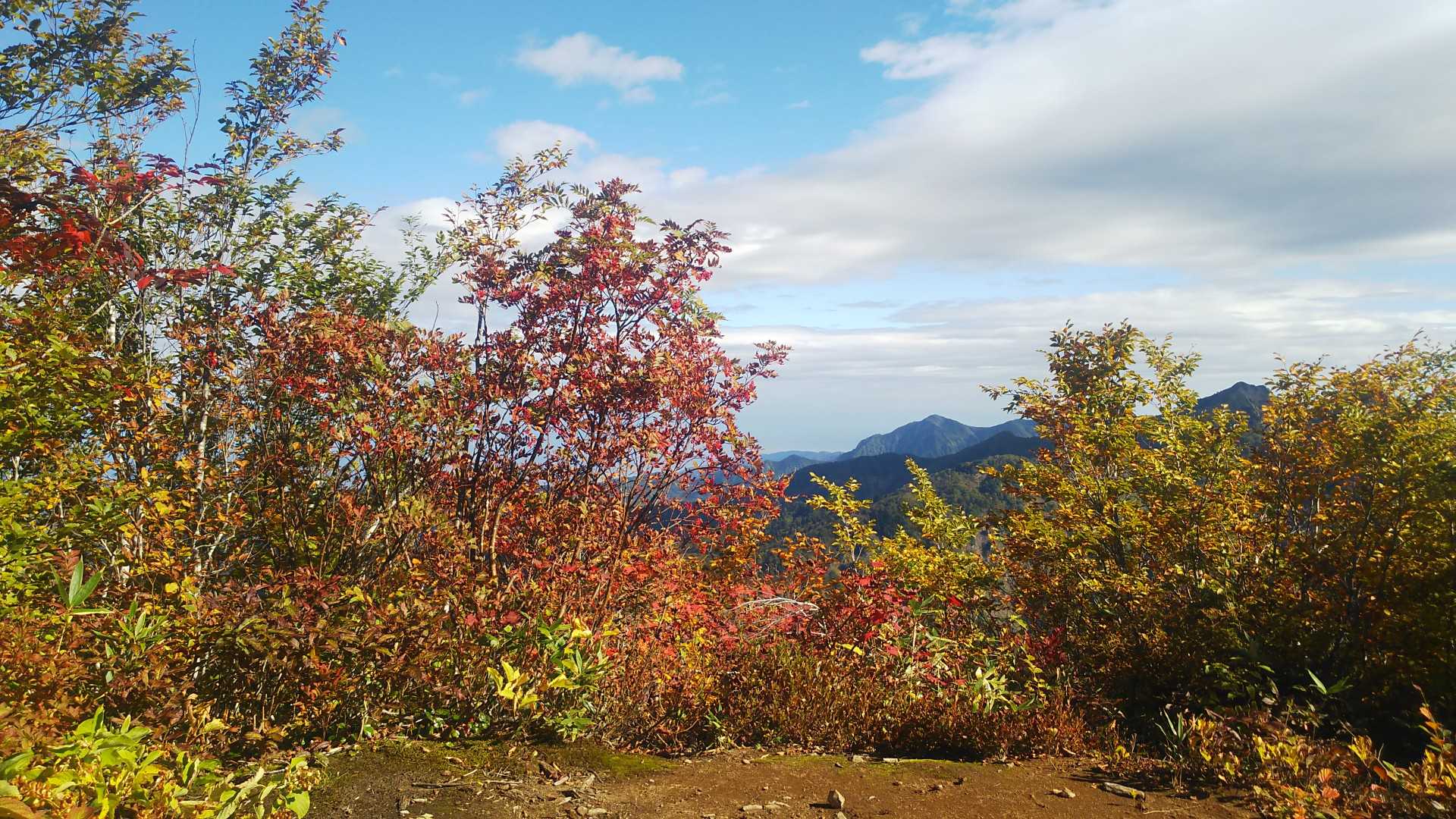駒ヶ岳（海谷山峡パーク）の写真