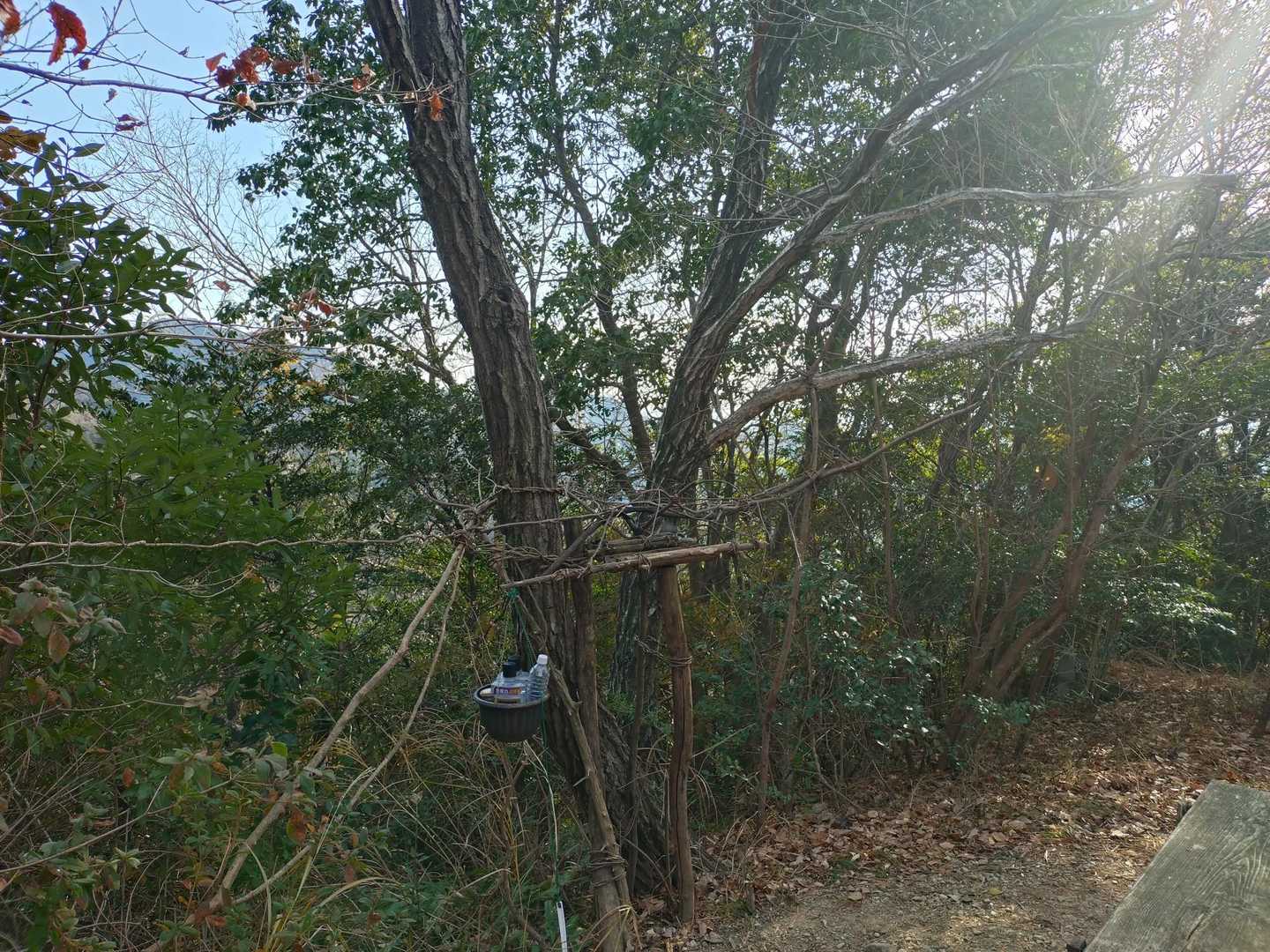 高尾山-藍染山-万石山-千石山 周回コースの写真