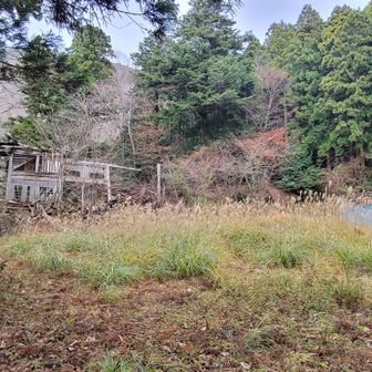 無残🥺🥺🥺思わず手が合わさる。