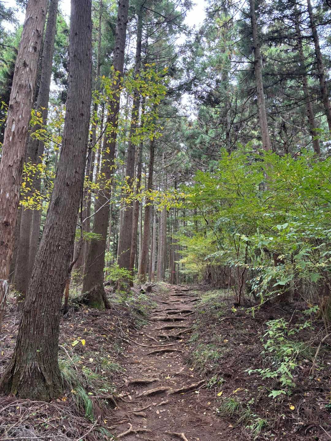 石老山登山口-石老山 周回コースの写真