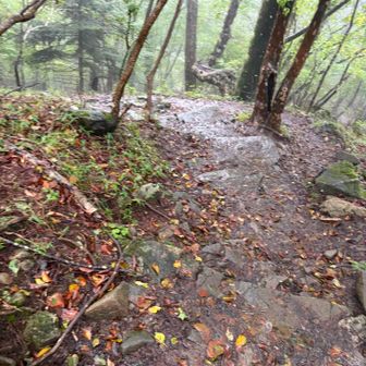 ムシカリ峠方面へ