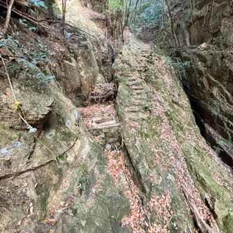 厳しい登りにロープ。すぐに上着を脱ぐことになりました。慎重に登って行きます。