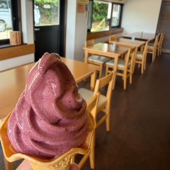 ご褒美🍦は🫐
おつかれ⛰️でした
楽しみながら⛰️トレできました