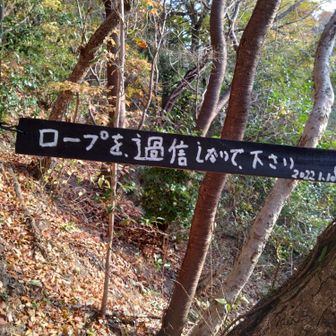 登りきった所にこの看板が…
全体重かけなくて良かった😅
できたら下に付けて欲しい笑