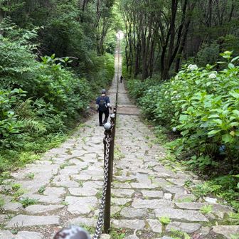 ふるさと公園へ下る階段