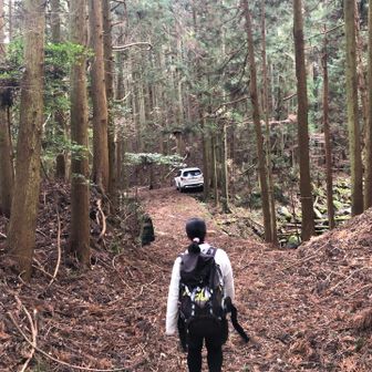 わんこちゃんたちはまだ登ってるみたい🐕