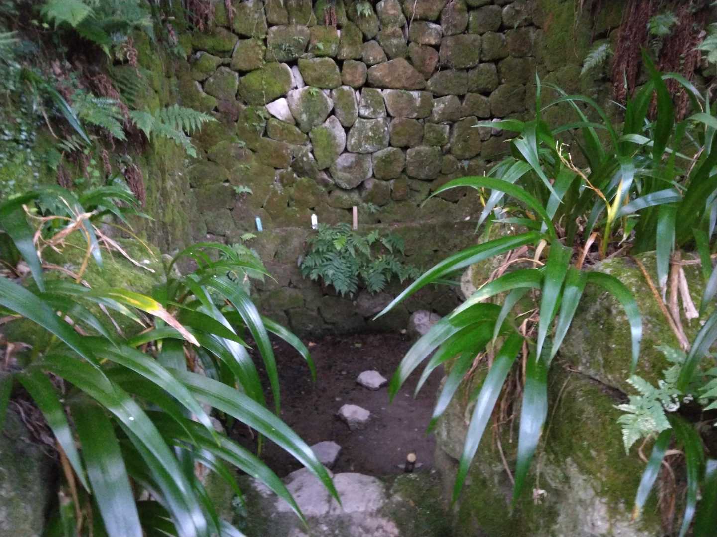 南海トラフ地震の際は伏せずに外にあがらなくちゃ
