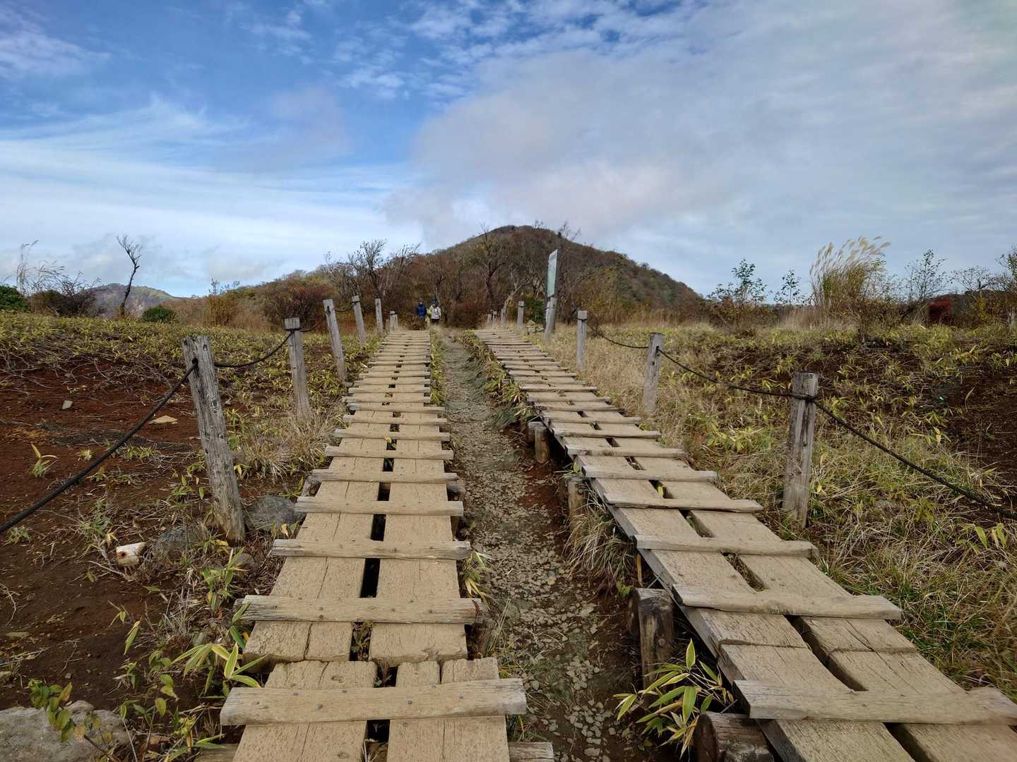 大倉バス停-観音茶屋-堀山-花立ノ頭-塔ノ岳-小丸-鍋割山 周回コースの写真