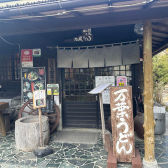 お初の万葉うどん🥰