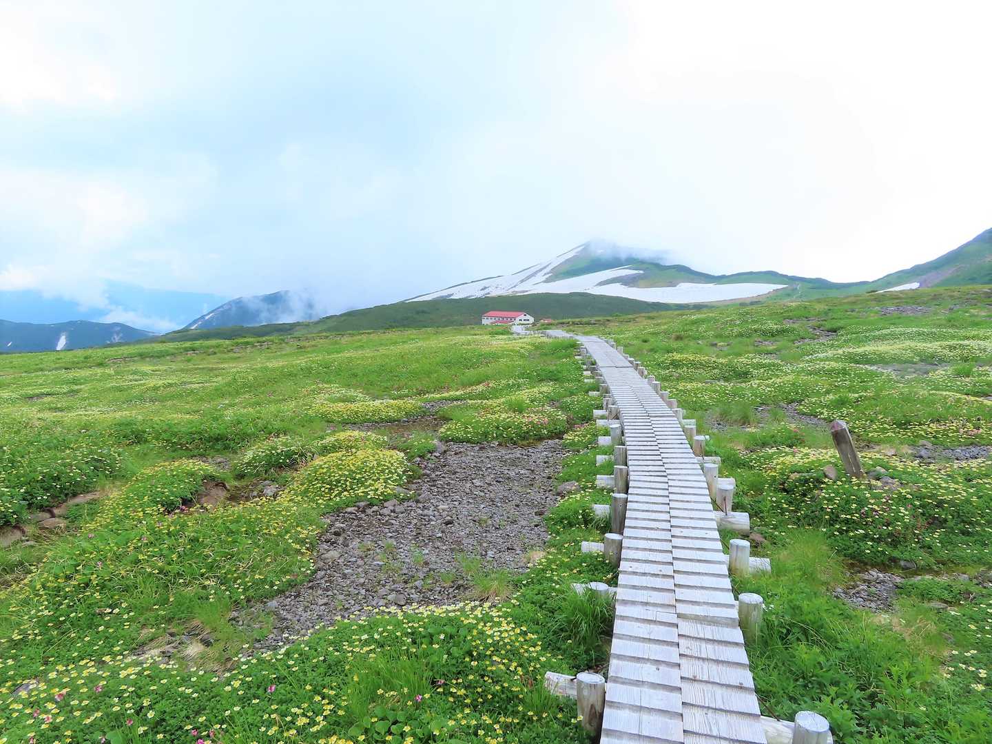 もうすぐ五色ヶ原山荘
花畑です
広いです