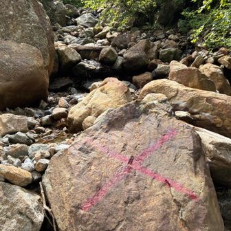 一気に分岐まで下山