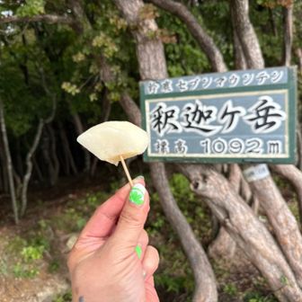 やっとやっと頂上。梨が染み渡るぅー