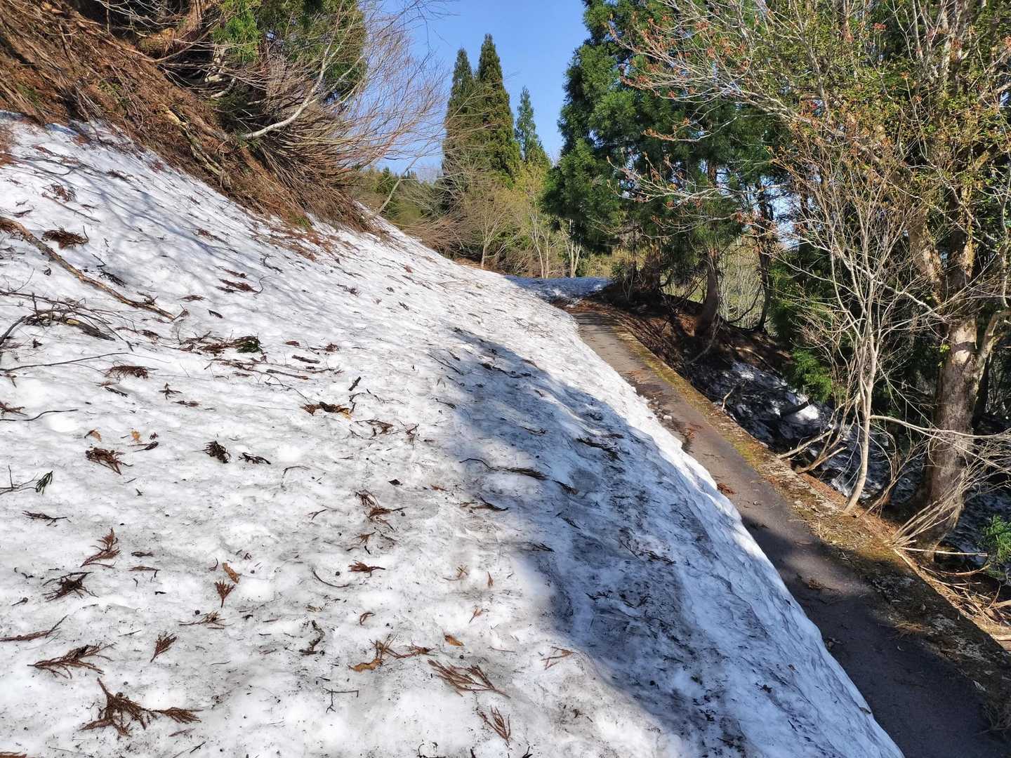 コレ車道ですよ‼️
まだ1m以上は雪が積もってる😳
