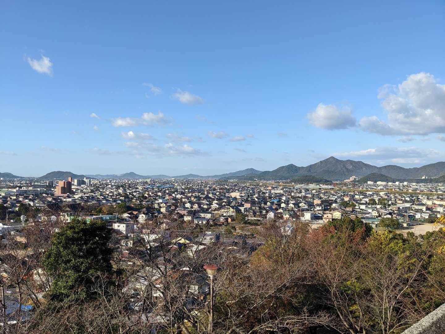 よいよい!