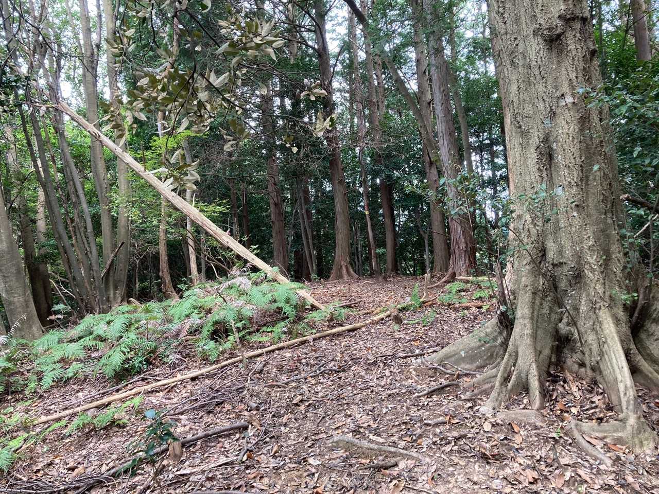 大蔵山-古城ヶ岳-五十鈴川の頭-高崎山-鴻ノ峰-鴻ノ峰登山 縦走コースの写真
