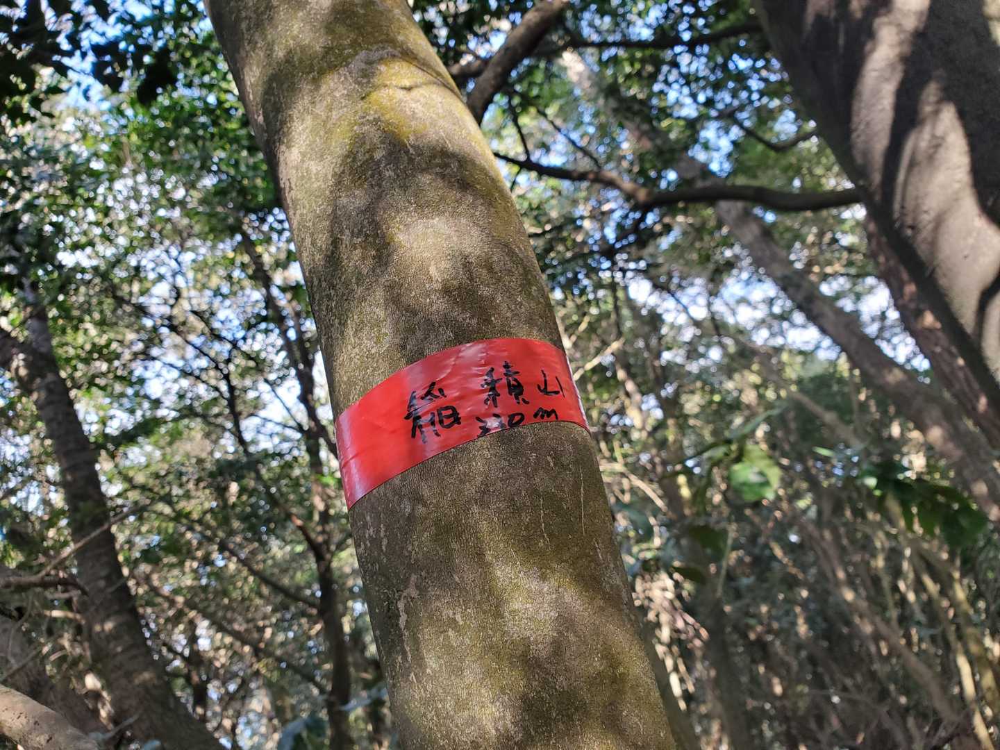 山頂は😅💦景色ﾅｼ、異常な～し!!
ﾗﾝﾁ会場まで戻ろう！