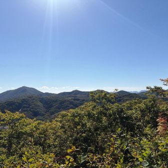藻岩山