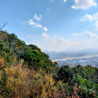 松江市街方向✨