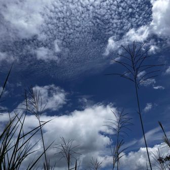 青い空、すっかり秋