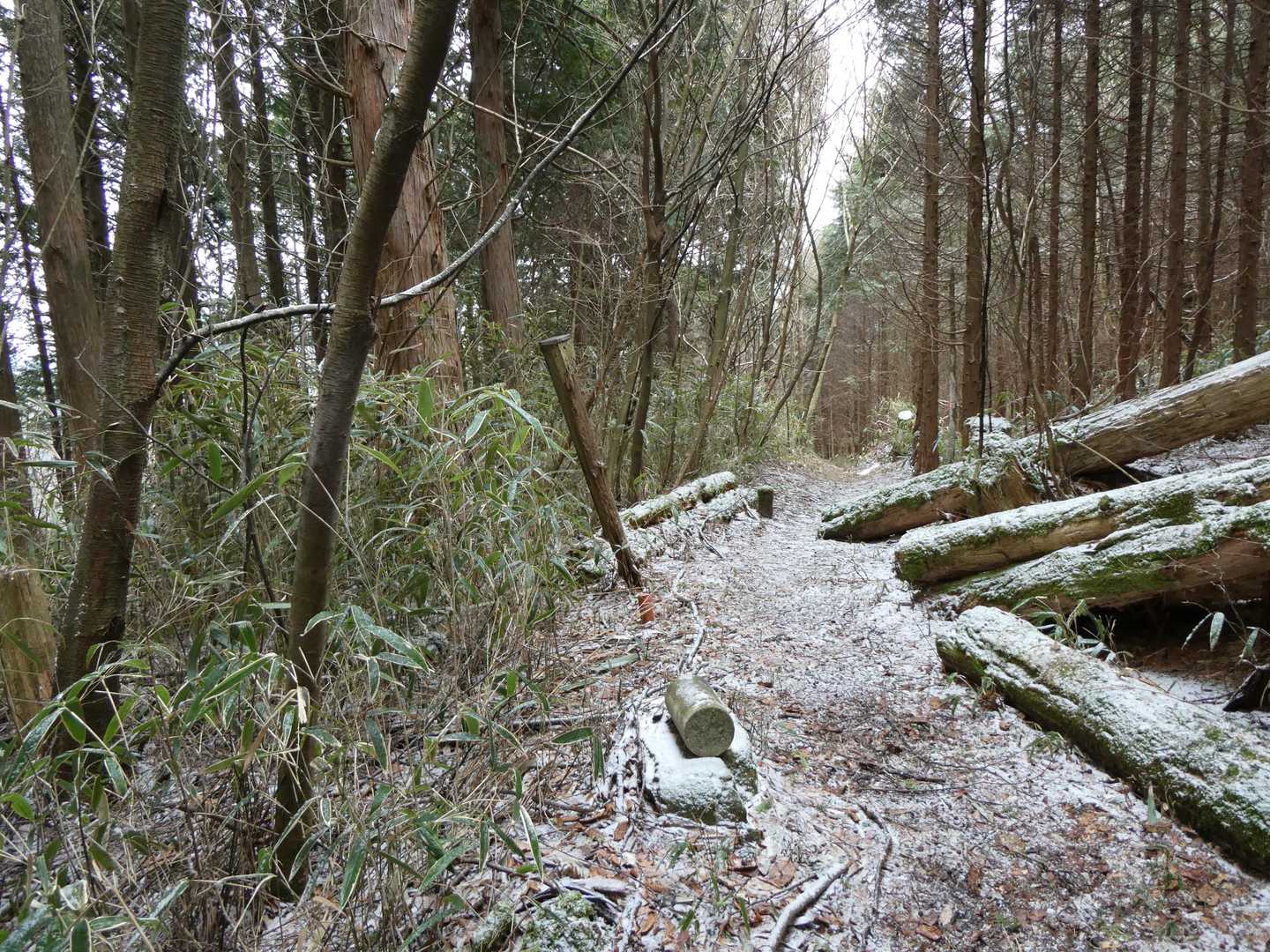 こちらに行けば黒森峠
（過去２回はこちら側へ下山）