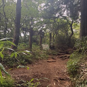ダイトレとの分岐