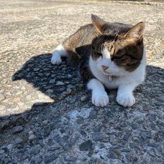 かわいい😍💕