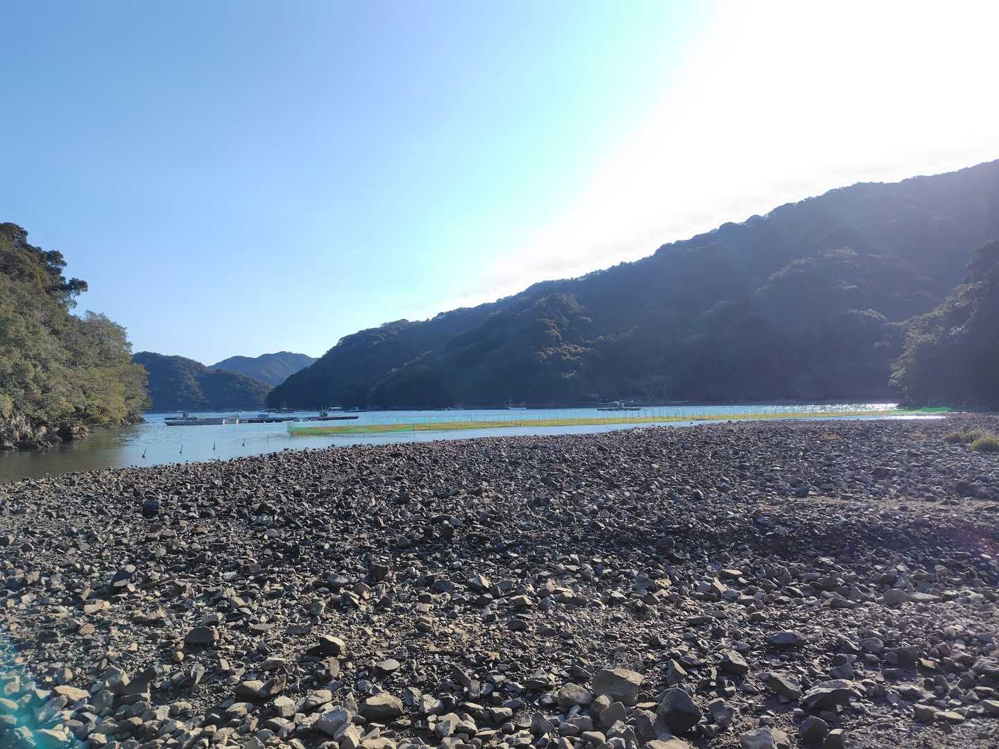 アオサ？青のり？
入江の波に養殖筏がユラユラ