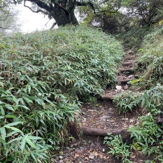 もうちょい