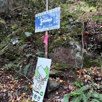ここに藤内小屋は右と書いてあるからそれに従って歩いたのですが、途中で舗装道路に出ます。一回道路に出て、舗装道路を辿った方が速かったです。昔はこのルートだったのかも？